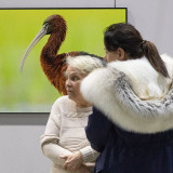 IMG_8319-copy