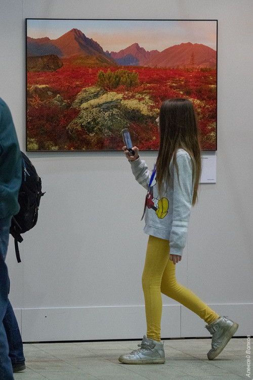 IMG_8358-copy.jpg