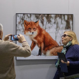 IMG_8371-copy