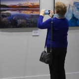 IMG_8372-copy