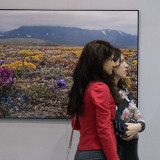 IMG_8414-copy