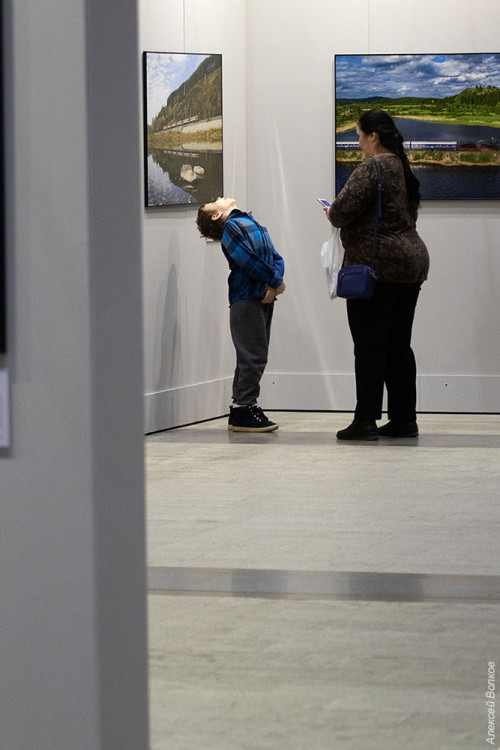 IMG_8512-copy.jpg