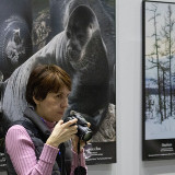 IMG_8618-copy