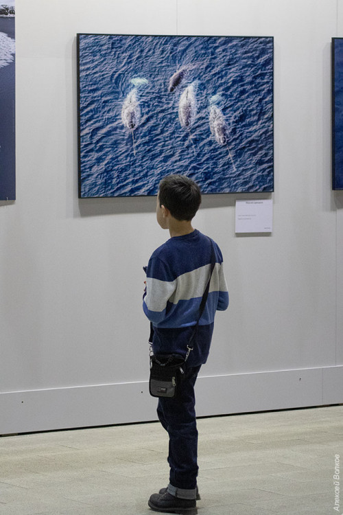 IMG_8690-copy.jpg