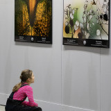IMG_8703-copy